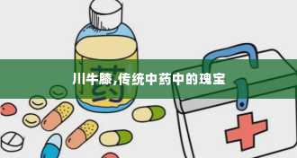 川牛膝,传统中药中的瑰宝