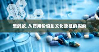 黑蚂蚁,从药用价值到文化象征的探索