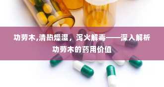 功劳木,清热燥湿，泻火解毒——深入解析功劳木的药用价值